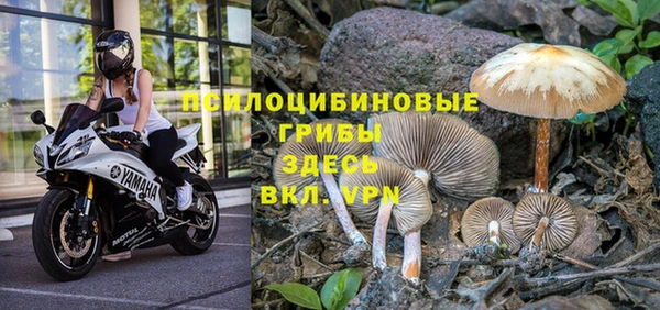 кокаин премиум Алзамай